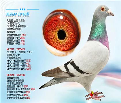 凡艾登-古瓦特原舍“木星号”孙代 ”无限号“半平辈孙代