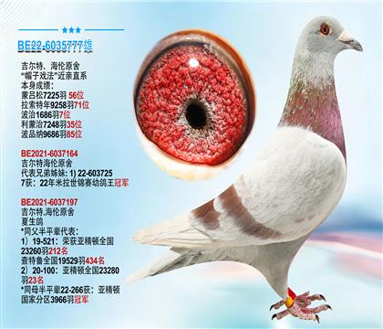 吉尔特.海伦原舍 ”帽子戏法“近亲直系