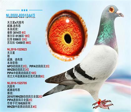 威廉.迪布恩原舍”天王星X凤凰号“