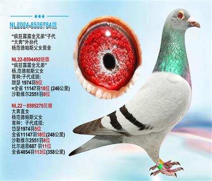 杨.范德帕许父女原舍”大奔“外孙代