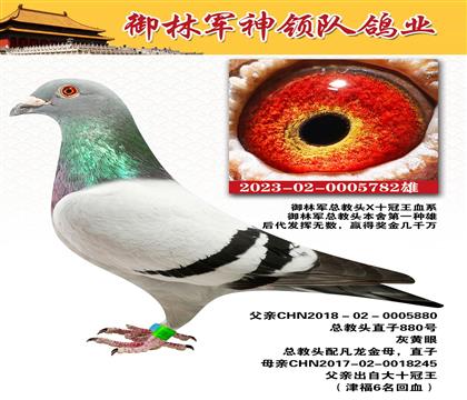 御林军神领队鸽业”总教头X十冠王血系“作出