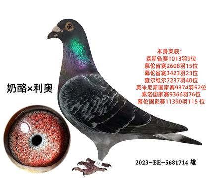 �����ص��Ƽ�����������