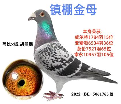 �Ǳ��������˹
