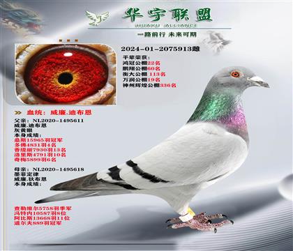 威廉迪布恩 墨菲定律 直子X直女