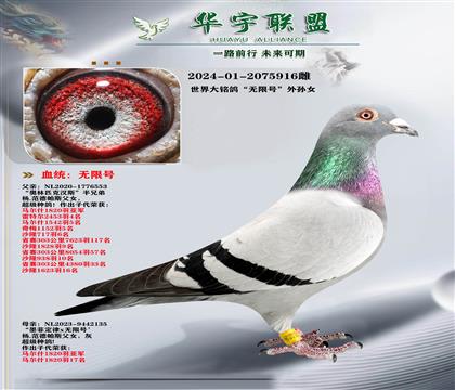 杨范德帕斯 无限号外孙女 超级金姆
