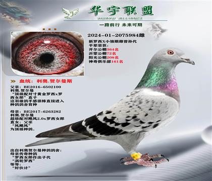 利奥 新罗西X独眼雌 曾孙代 金姆