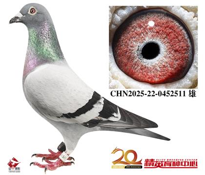 �����������롰240���������