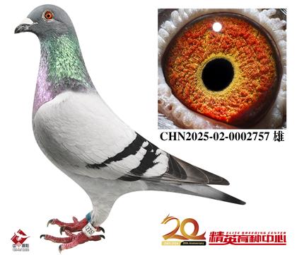 �����������롰098������ֱ��