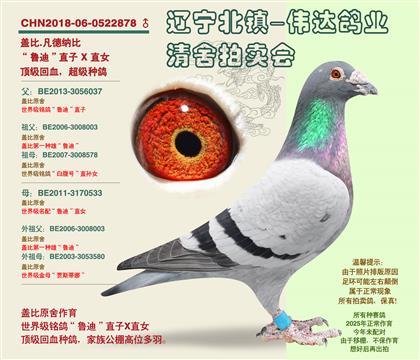���Ǳ�-³�ϡ�ֱ��XֱŮ