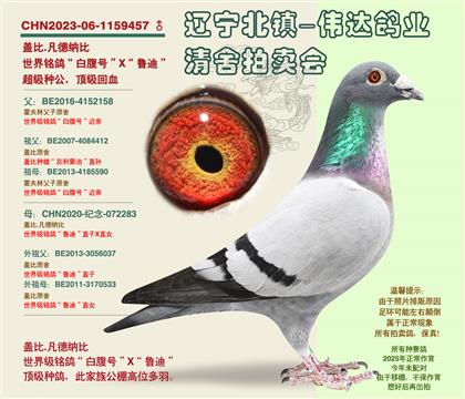 ���Ǳ�-�׸��š����׻�Ѫ
