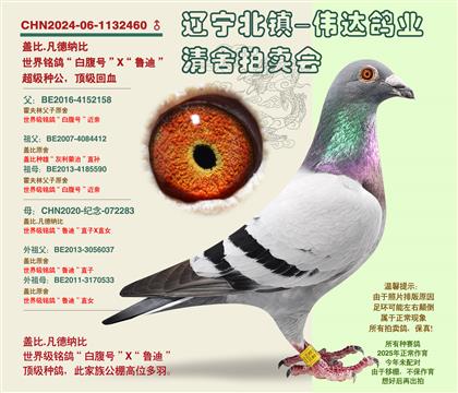 ���Ǳ�-�׸��š����׻�Ѫ