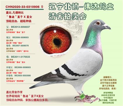�ǱȽ�ĸ-��³��906��