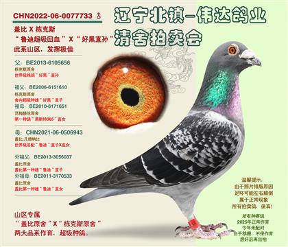 ������˹ԭ�ᡱ�Ӵ�
