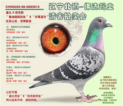 ������˹ԭ�ᡱ�Ӵ�