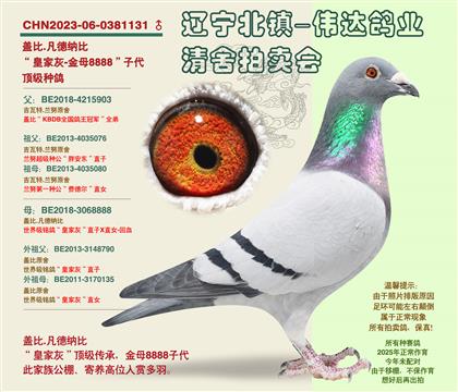 ����ĸ-�ʼһ�8888���Ӵ�