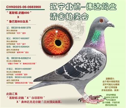 ��ղ��˹802��ȫϵ