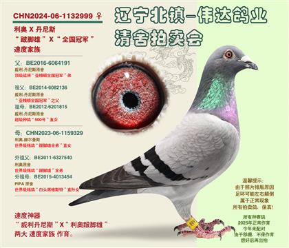 ������-�����ۡ�-�Ӵ�