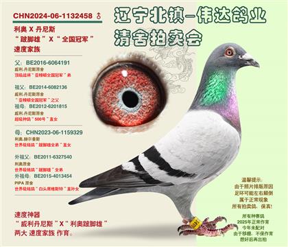 ������-�����ۡ�-�Ӵ�