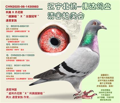 ������-�����ۡ�-�Ӵ�