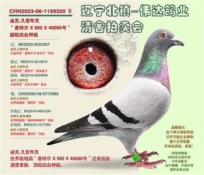 �����ǲ��ˡ�-���ػ�Ѫ