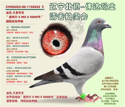�����ǲ��ˡ�-���ػ�Ѫ