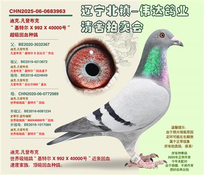 �����ǲ��ˡ�-���ػ�Ѫ