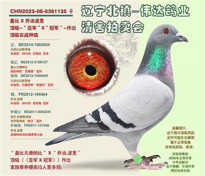���ھ���X���Ǿ���