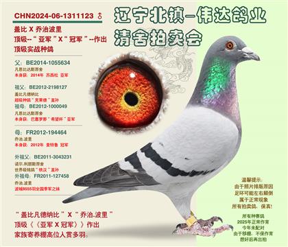 ���ھ���X���Ǿ���