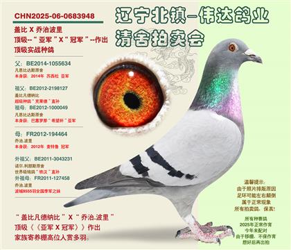 ���ھ���X���Ǿ���