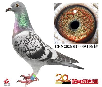 �������롰��ѻ��ض���ֱ��Ů����