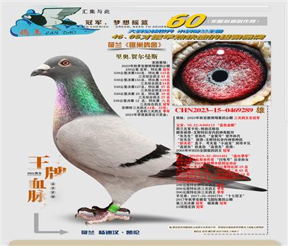 �����ھ��ֵ�
