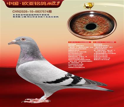 ��ƿ�����������666����ƿ��Ҵ�������Ů732