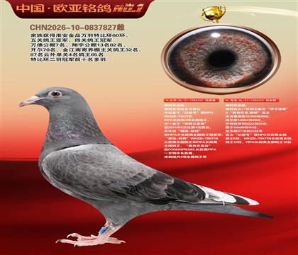 ��ƿ������ֹ�761X��ƿ�����·˹������ƥ������ֱŮ723