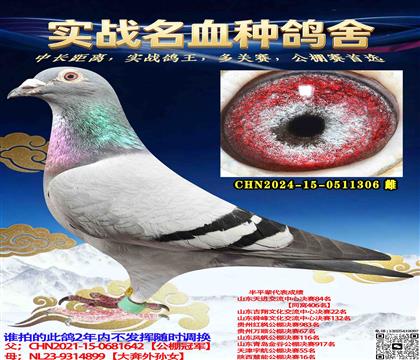 ����ھ�ֱŮ