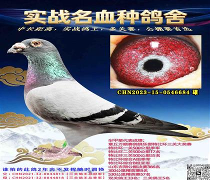 ���عھ�X���ؼ���