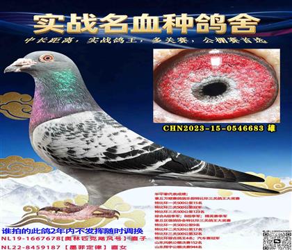 �����ϲ���쫷��ֱ��Xī�ƶ���ֱŮ