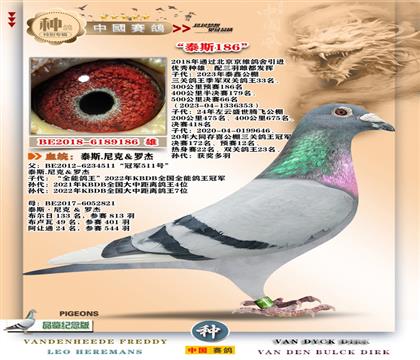3-�޽�̩˹�ھ�511֮��+���ظ�������֮��
