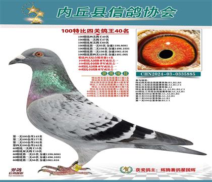 �Ĺظ���40����7��ǰʮ