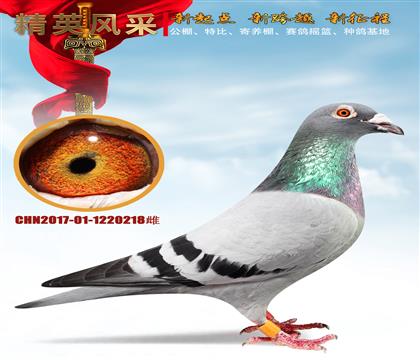 ��̨5082��53������Ӣ13��