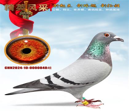 ���հ�����������