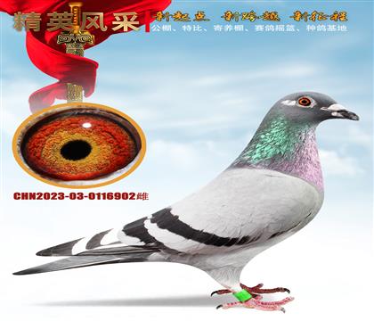 ɣ��ʿ����ľ��