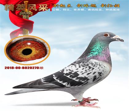 ��򿪴���390��