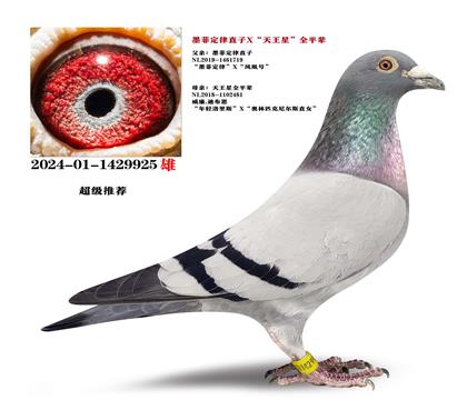 �����Ƽ�������߼���ī�ƶ���X������ƽ��