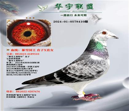暴雪国王基特尔 直子X直女