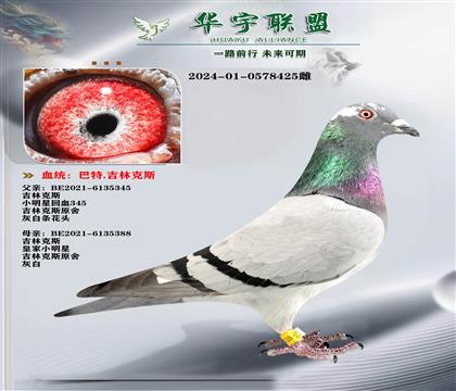 吉林克斯 小明星 外孙女