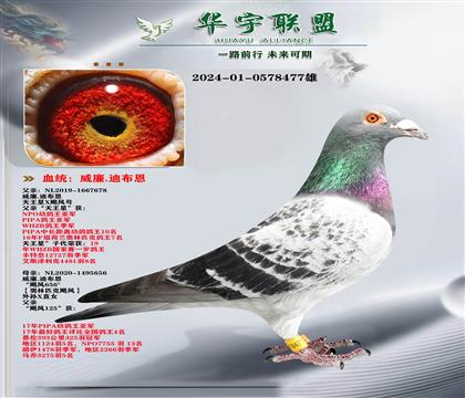 威廉迪布恩 天王星 直孙
