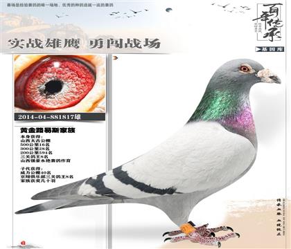 ��ѫ�ָ�ǿ�������������ظ���8