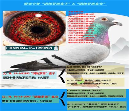 (重点推荐)爱亚卡普“涡轮罗西直子”X“涡轮罗西直女”