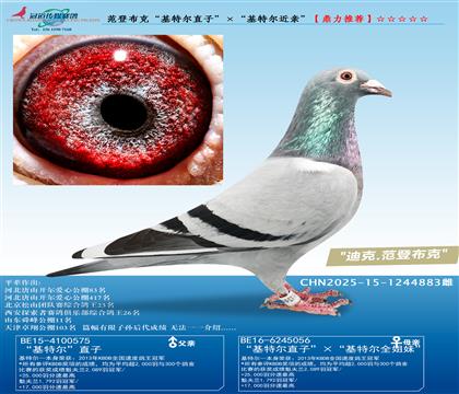 ���ǲ��ˡ����ض�ֱ�ӡ��������ض����ס�