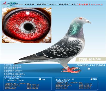 ���ǿ��ա�����������ֱ�ӡ�������������ֱŮ